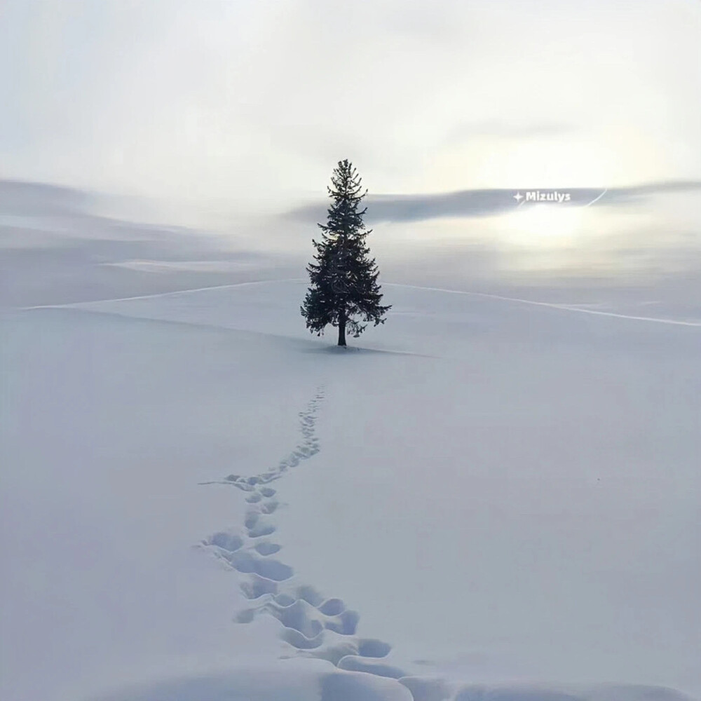 朋友圈搭配
头像