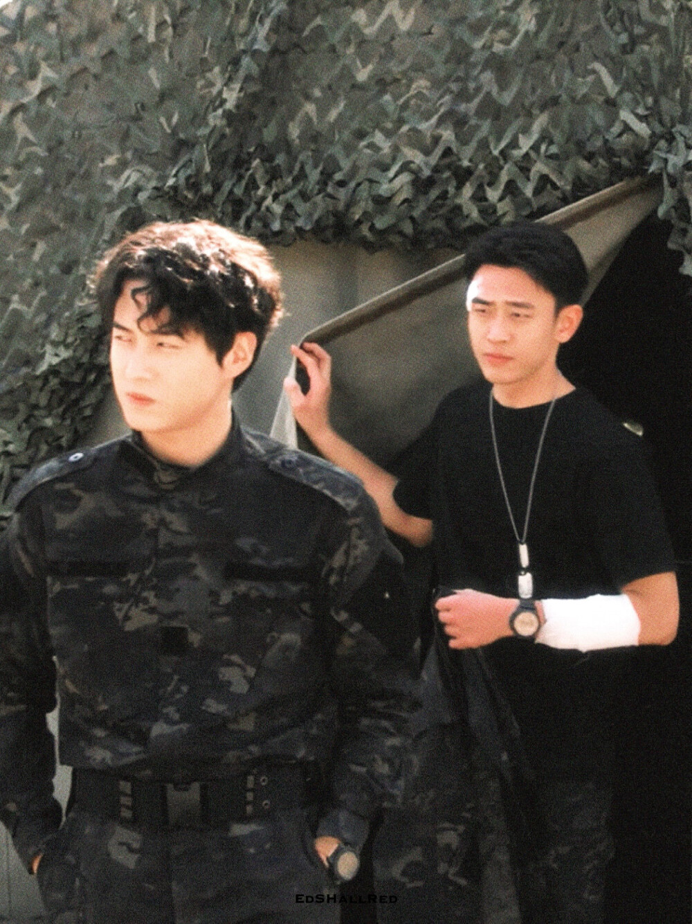 白色橄榄树本杰明萨辛