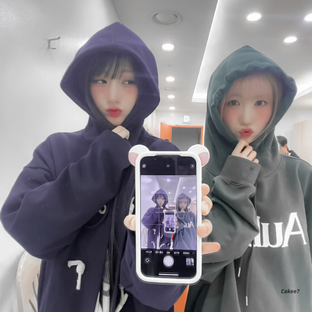 殉黛