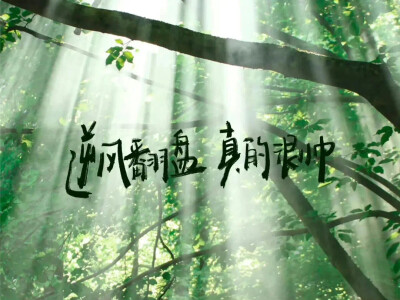 iPad壁纸