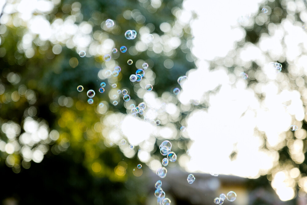 让我们一起当一天快乐小孩
摄影：洪小漩
出镜：菲比
几年前，弟弟作为援沪医疗队员在上海度过了一段时间。结束后，他收到了来自上海的乐游上海感恩卡。其中，包括5个免费游迪士尼的名额。
弟弟说，到时候一起去。我说好的，随后，在忙碌的生活中将这件事抛之脑后。直到今年，他忽然提出邀约，我们才仓促组织起这场搁置许久的出游。
一行五个大人，加一个小菲比。通过客服，我在官网为菲比购买了儿童票，兴致勃勃又着急忙慌地奔赴上海。
6个人，分别从温州、宁波、金华、杭州四个地方汇聚。我当天下了班直奔高铁站，转地铁抵达外滩边时，他们已经完成和平饭店的打卡。
夜幕下，外滩很美，只不过冷得出乎意料。从温州十几度坠入寒冷的上海