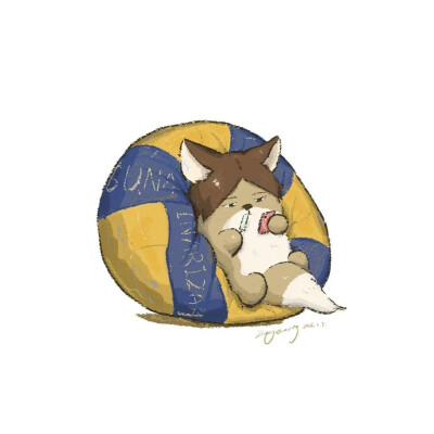 排球少年套图