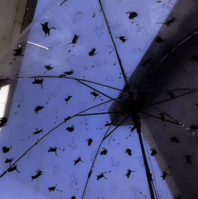 拟信宝宝的漂亮图图
元宵节快乐！