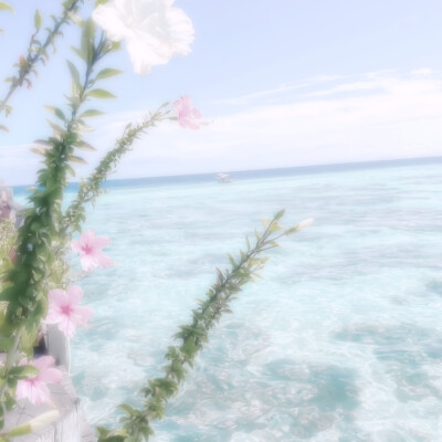 oceanBlue藍