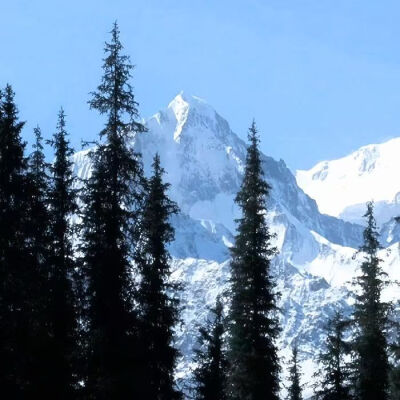 拟信宝宝的漂亮图图
元宵节快乐！
