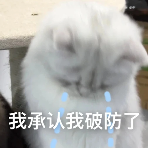 猫猫表情包