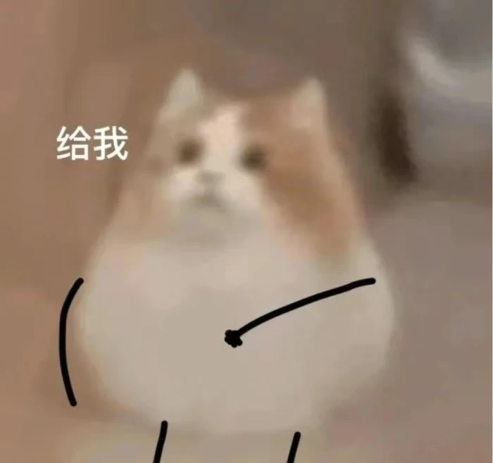 猫猫表情包