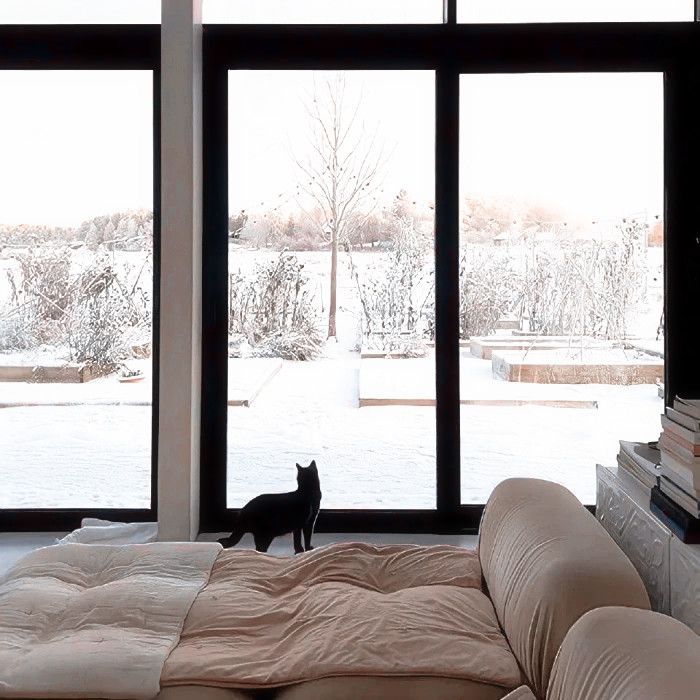 越发看不懂你的真心