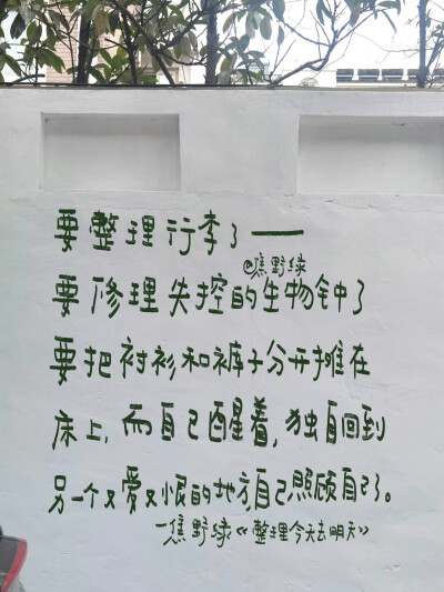 朋友圈背景图/
文字/
cr.@焦野绿在写诗