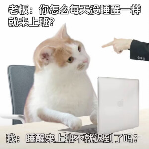 表情