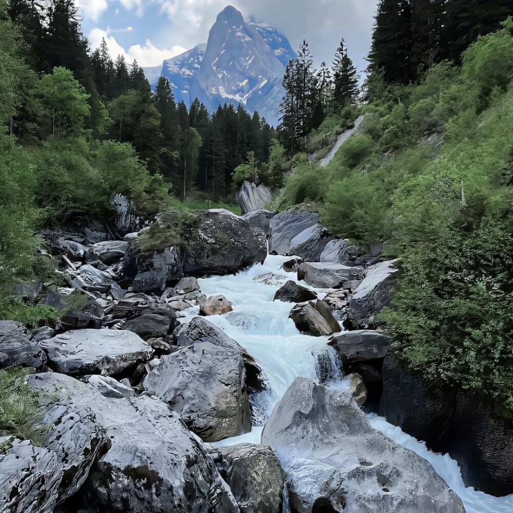 你眼里的戾气充斥我身体第二十七根骨骼