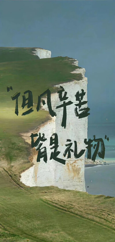 上岸