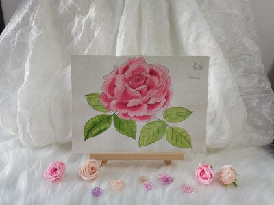 06 蔷薇（绘画 | 水彩 | 果花甘01 ）
（2015年7月画）
印象里，蔷薇，只是看着字就有种浪漫的迷醉感。
她们盛开在在法式或者英式的庭院里，郁郁葱葱爬了一整个院墙，伸出雕花的铁门，在晴光下盛开。
嫣然的玫瑰红，…