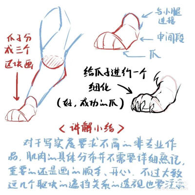 动物四肢画法