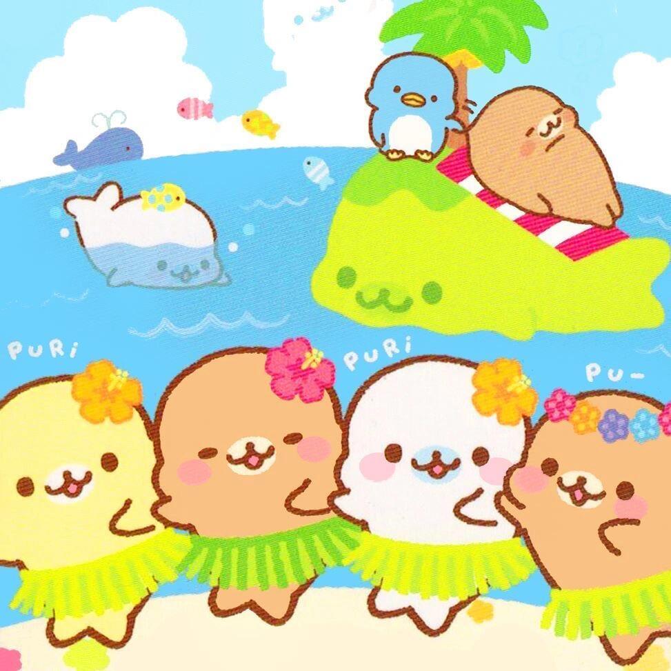 可爱小海豹