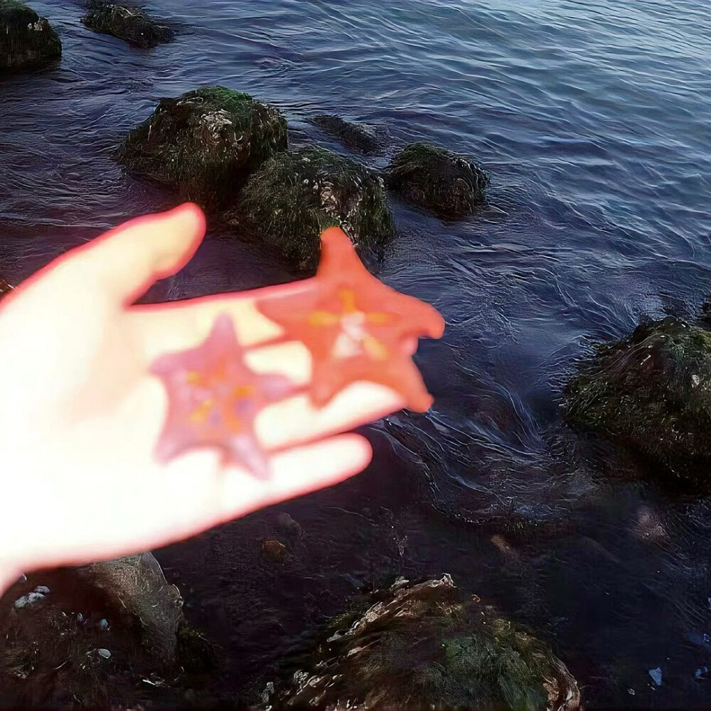 图源ks：偷喝汽水