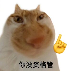 小猫表情包