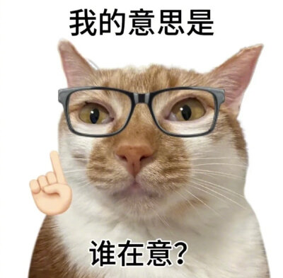 小猫表情包