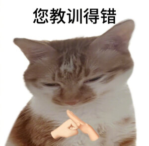 小猫表情包