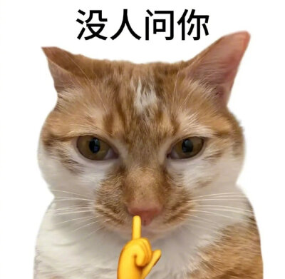 猫咪表情包