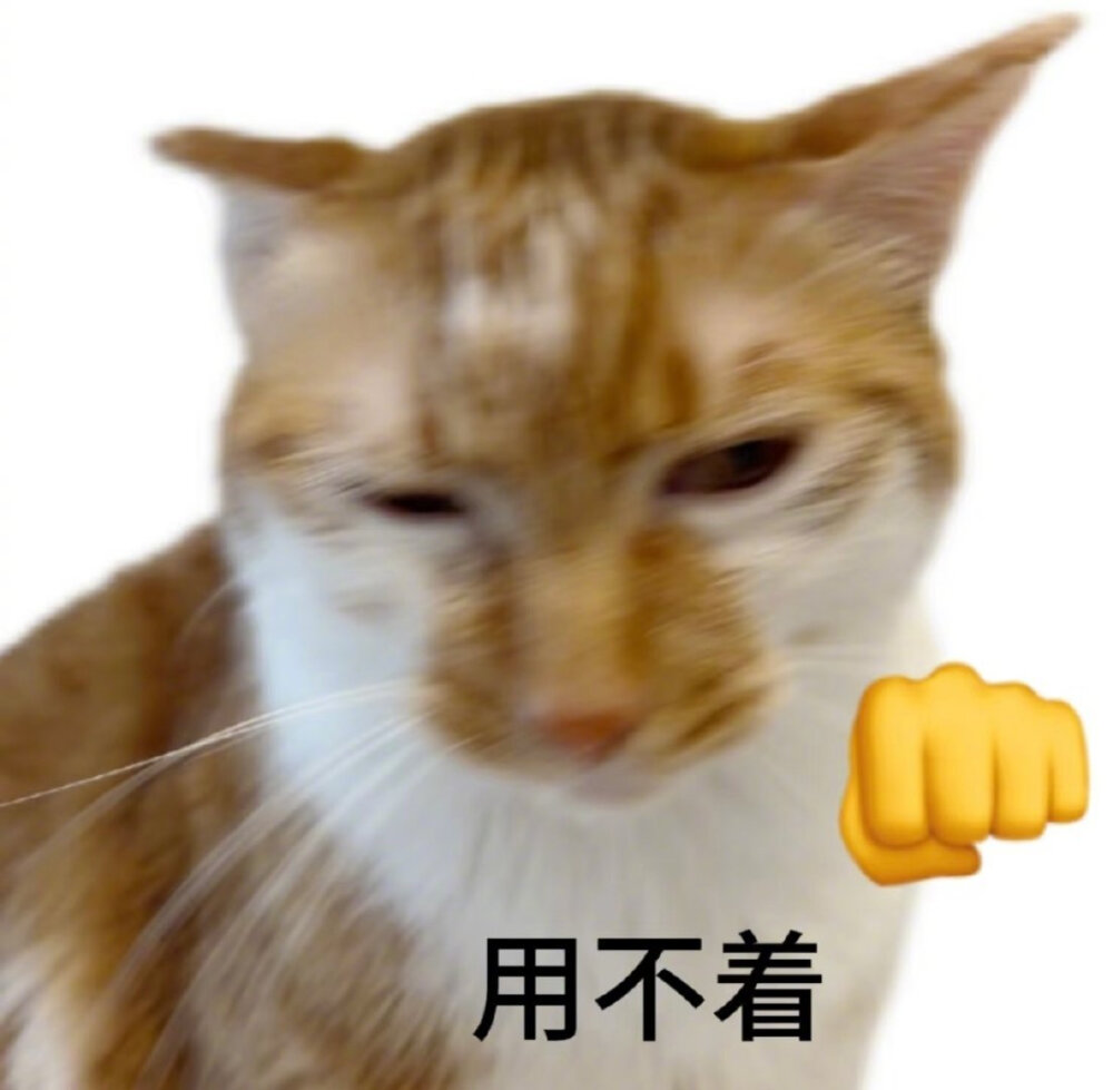 猫咪表情包