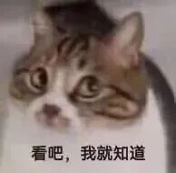 猫猫表情包