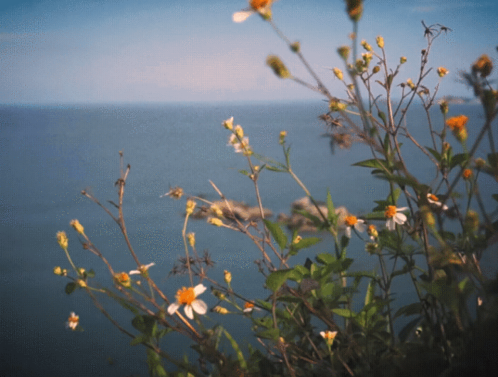  如果思念是一条围巾