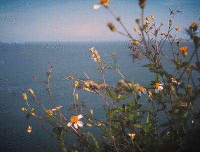  如果思念是一条围巾