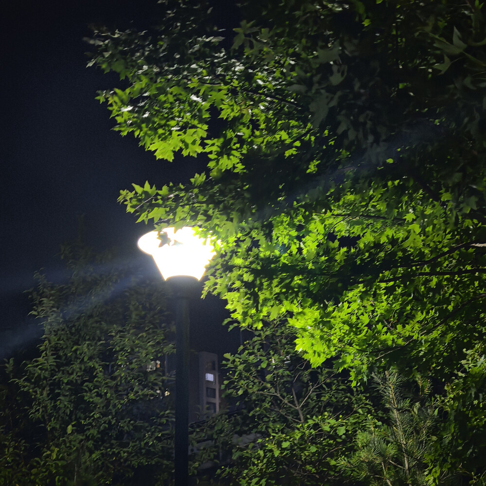 夜景下模糊的温暖