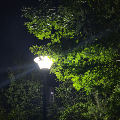 夜景下模糊的温暖