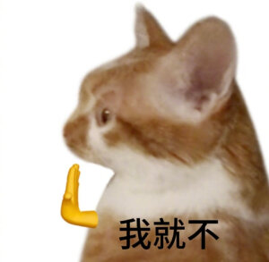 小猫表情包