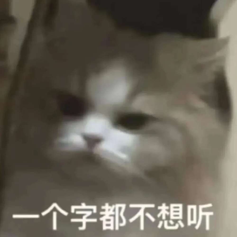 猫猫表情包