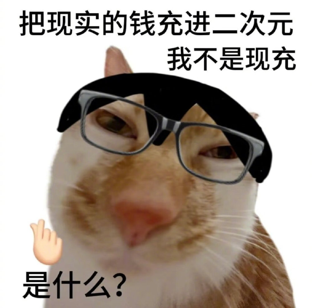 猫咪表情包