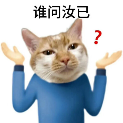 猫咪表情包