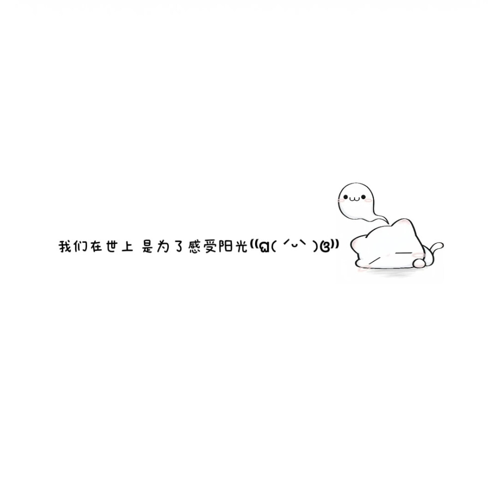 WeChat 小猫背景图