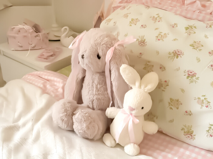 人，兔兔想你了(՞ ܸ. .ܸ՞)︎♡