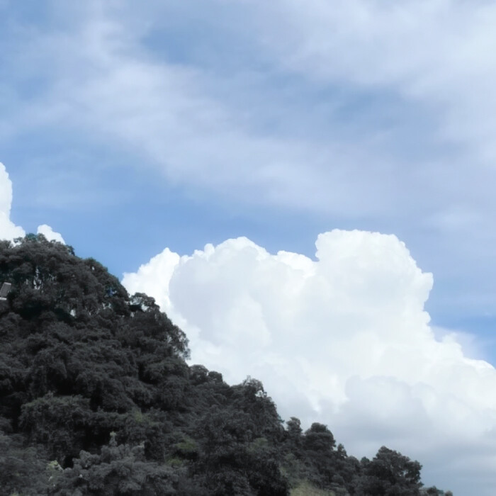 风里参杂着自由的味道