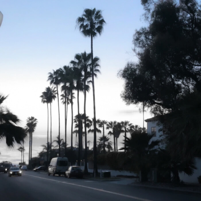 风里参杂着自由的味道