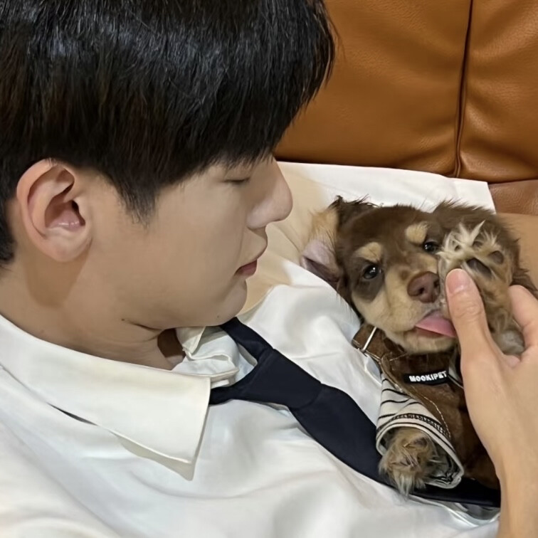 翟虎和翟潇闻哪个萌