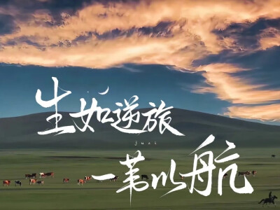 侵权删