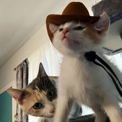 以冬之名 祈愿平安