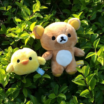 背景图｜轻松熊