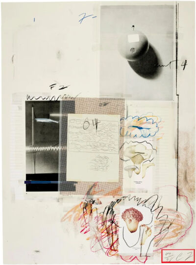 Natural History Part I,Mushrooms-Plate VIII,1974,Lithograph,grano-lithograph and collotype in colors with collage and hand-coloring in crayon,on Rives Couronne paper,73.7×55.9cm