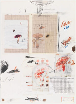 Natural History Part I,Mushrooms-Plate IV,1974,Lithograph,grano-lithograph,collotype,photochrome,paper collage and crayon on Rives Couronne paper,73.9×55.9cm