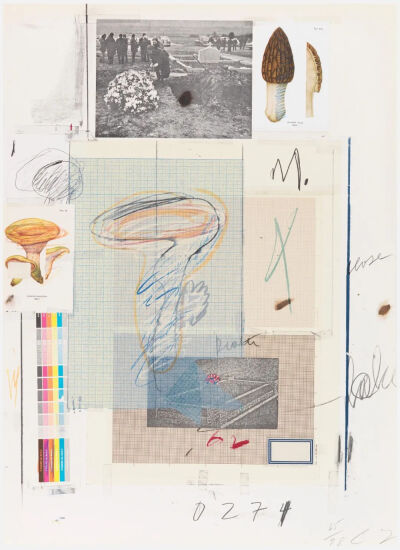 Natural History Part I,Mushrooms-Plate VII,1974,Lithograph,grano-lithograph,collotype,photochrome,paper collage and crayon on Rives Couronne paper,75.9×55.9cm