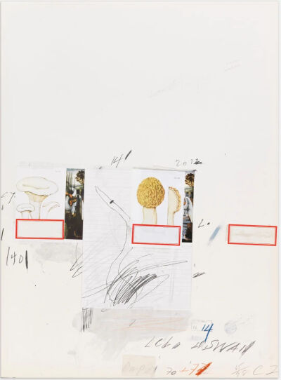 Natural History Part I,Mushrooms-Plate I,1974,Lithograph,grano-lithograph,collotype,photochrome,paper collage and crayon on Rives Couronne paper,75.9×55.9cm