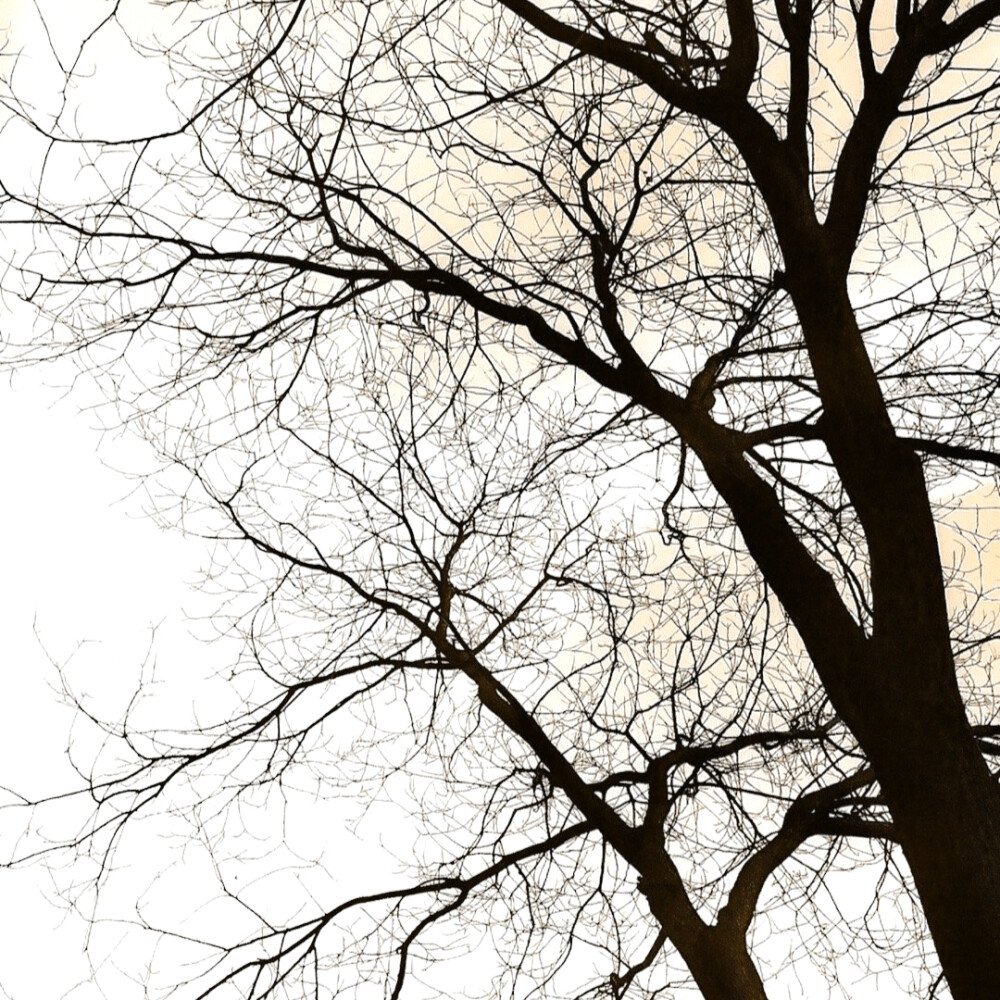 
仍然自由自我"La chanson...（용서해줘 내 사랑）☾.