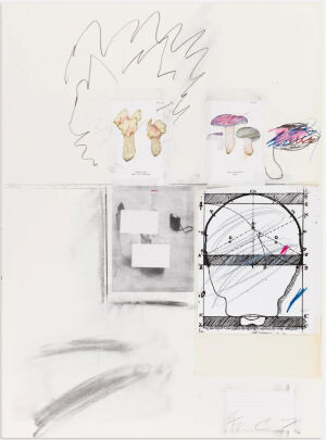 Natural History Part I,Mushrooms-Plate II,1974,Lithograph,grano-lithograph,collotype,photochrome,paper collage and crayon on Rives Couronne paper,73.7×55.9cm