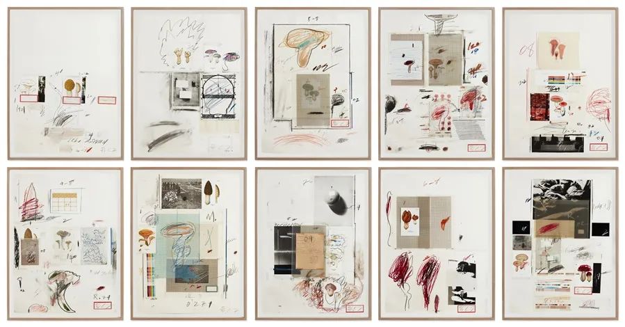 Natural History Part I Mushrooms,1974,The complete set of 10 lithographs with collotype in colors with collage and touches of hand-coloring,on Rives Couronne paper,the full sheets,75.6x55.6cm