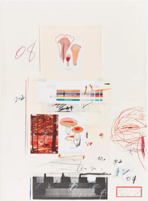 Natural History Part I,Mushrooms-Plate V,1974,Lithograph,grano-lithograph,collotype,photochrome,paper collage and crayon on Rives Couronne paper,75.9×55.9cm